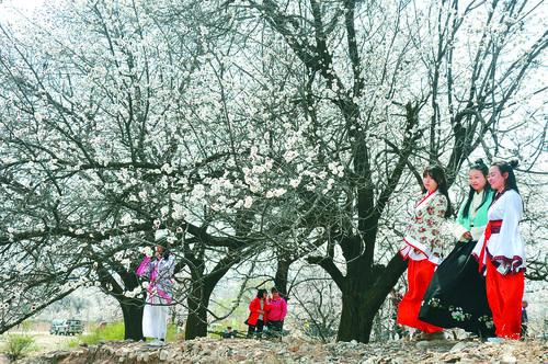 九球直播小仙儿 女神台球主播